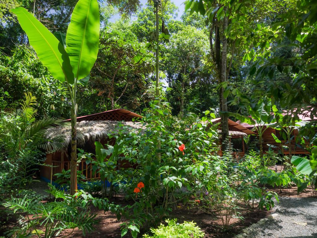 Casitas Las Flores Puerto Viejo de Talamanca Esterno foto
