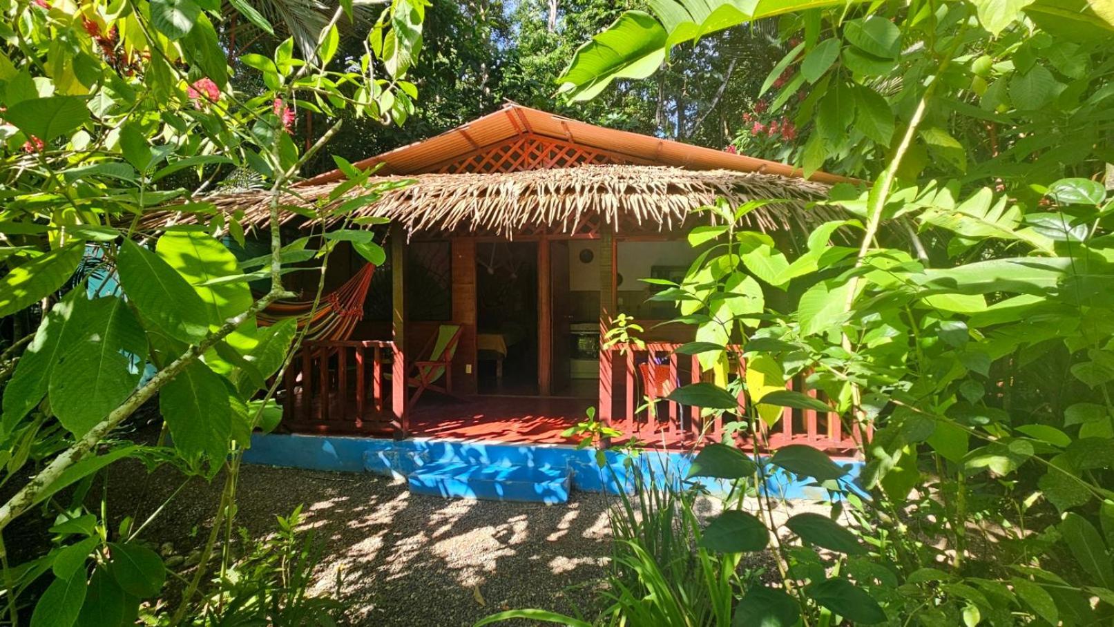 Casitas Las Flores Puerto Viejo de Talamanca Esterno foto