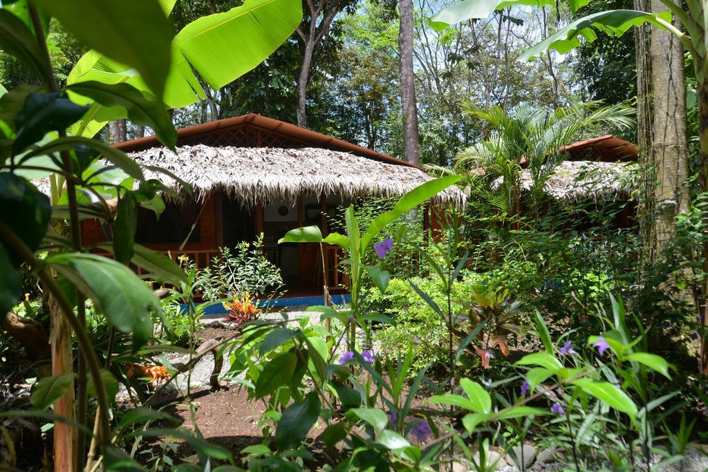 Casitas Las Flores Puerto Viejo de Talamanca Esterno foto