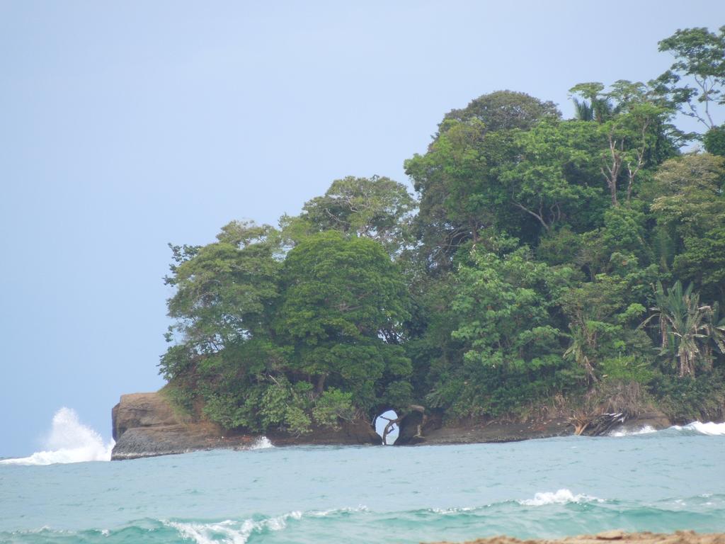 Casitas Las Flores Puerto Viejo de Talamanca Esterno foto